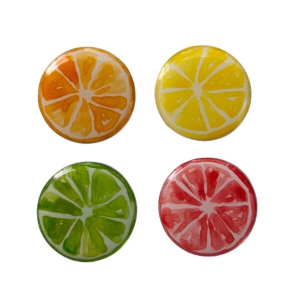 4 pack of fruity citrus magnets