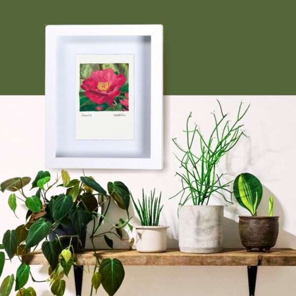 framed print "Camellia" framed on the wall