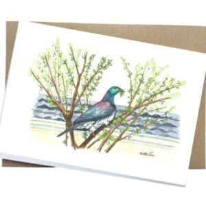 kereru card Buy kereru new zealand wood pigeon greeting card