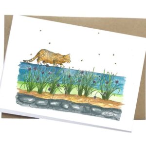 Cat card Buy cat greeting card