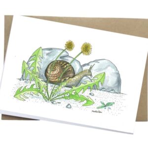 snail card buy snail greeting card