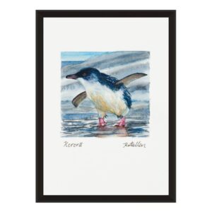 product images (36) Buy Little Blue Penguin Korora fine art print
