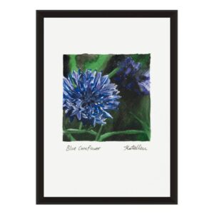 product images (40) Buy Blue Cornflower fine art print