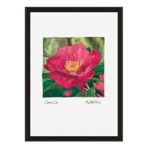 product images (42) Buy pink Camellia fine art print
