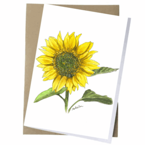 sunflower-card-1 buy Sunflower greeting card